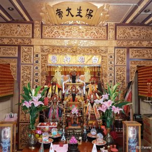 作品圖片