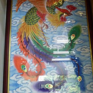 作品圖片